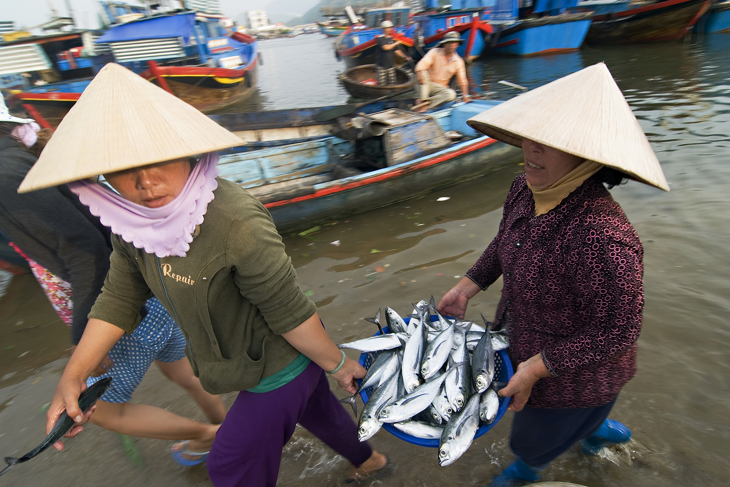 Vietnam :: Fishman